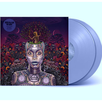 Erykah Badu - New Amerykah Part 2  ( coloured vinyl 2LP)