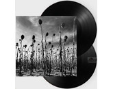 Dead Can Dance Anastasis =2LP=
