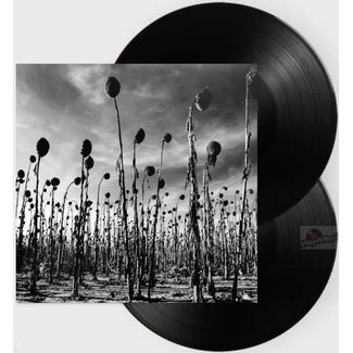 Dead Can Dance - Anastasis ( vinyl 2LP )