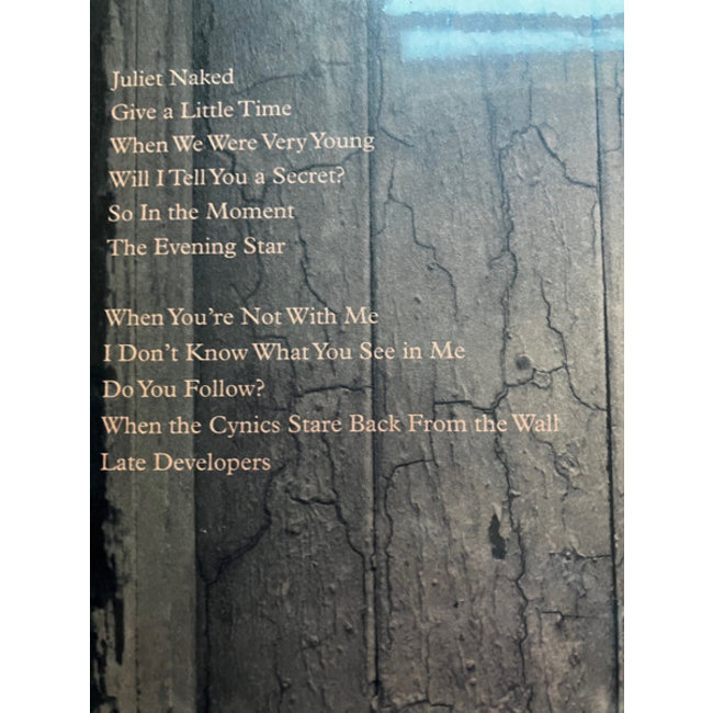 Belle & Sebastian Late Developers ( vinyl LP )