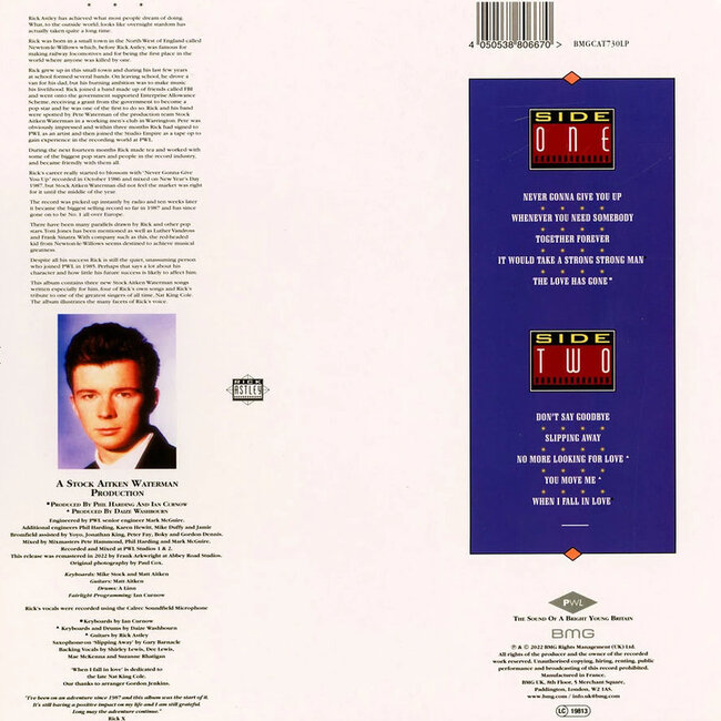 Rick Astley Whenever You Need Somebody ( vinyl LP )