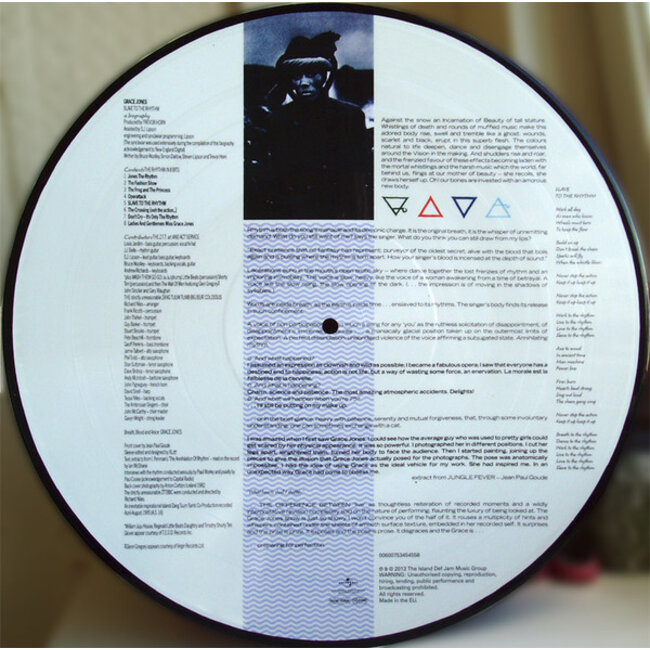 Grace Jones Slave To The Rhythm ( Piture Disc vinyl LP )