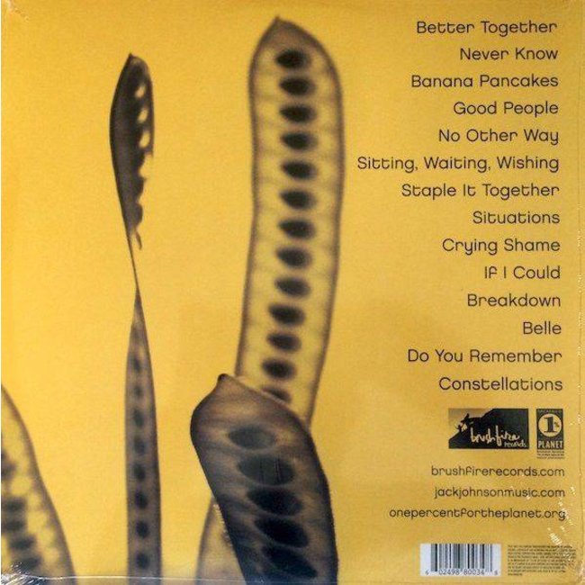 Jack Johnson In Between Dreams ( vinyl LP )