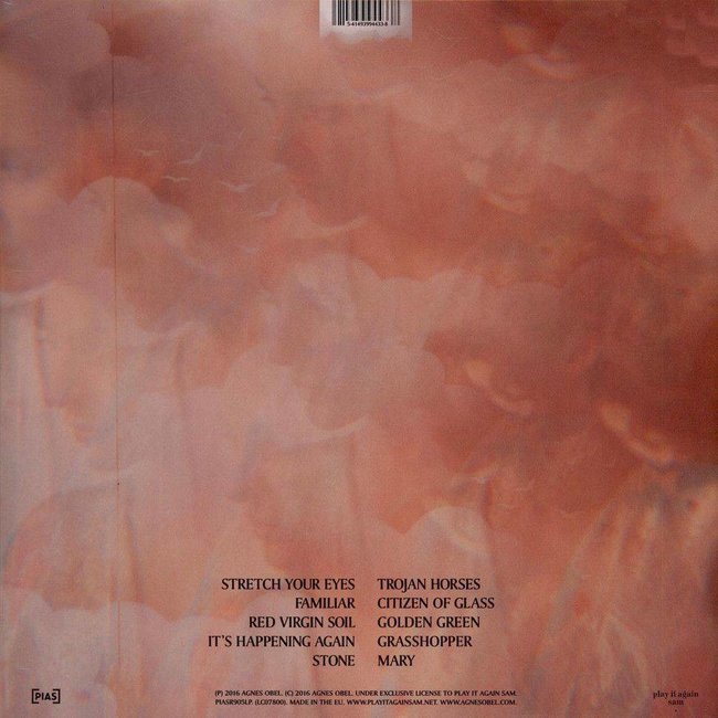 Agnes Obel Citizen of Glass (180g vinyl LP )