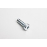 PP Tuning Inbus Bout DIN7984 M6 Voor Rem-Koppelinghevels