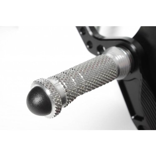 zx 1000 zilver