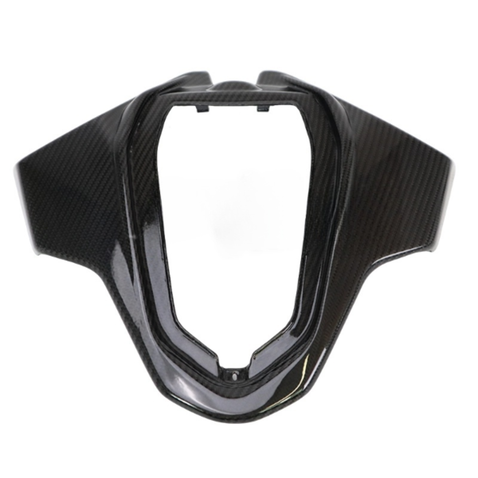 Accessori Italy Carbon achterklap BMW S1000RR 2023- M1000RR 2023-