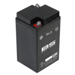 BS BATTERY SLA Accu Onderhoudsvrij - B49-6