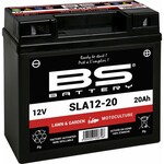 BS BATTERY Accu SLA12-20 onderhoudsvrij