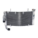 Accessori Italy radiator | radiateur Ducati 749 999