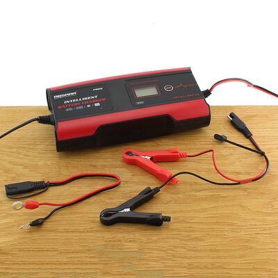 ABSAAR PRO 6.0 6A 12/24V