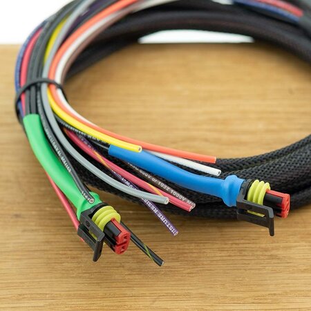 Wakespeed WS500/PH P-Type Wiring Harness