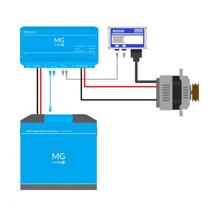 Wakespeed WS500/PH P-Type Wiring Harness