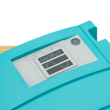 Mastervolt AC Master 24/300 IEC (230 V)