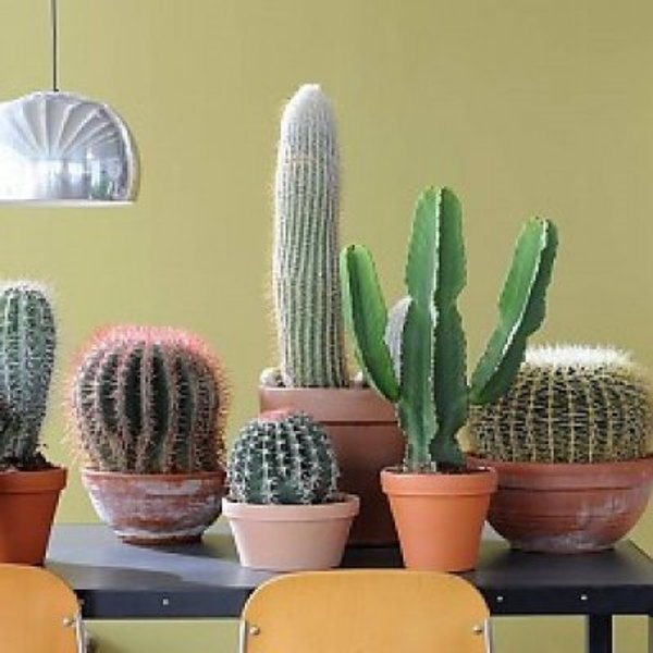 Terracotta bloempot Ø 29