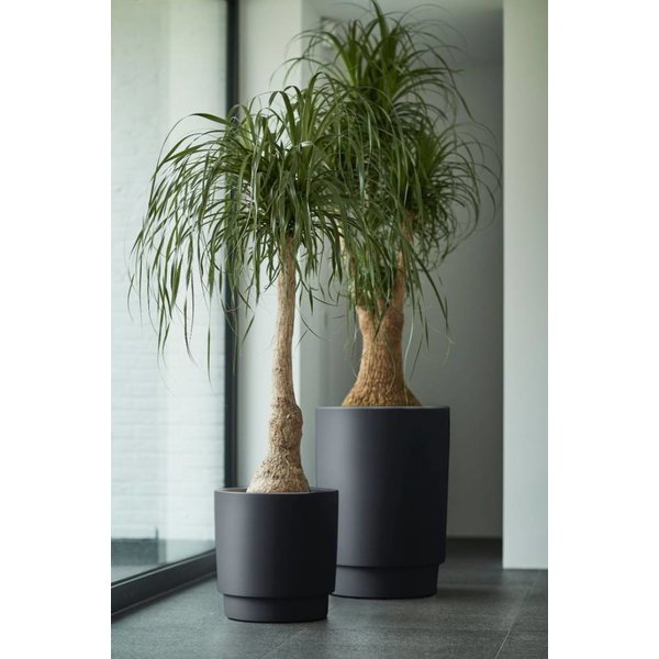 Elho Pure grade bloempot Antraciet Ø 39