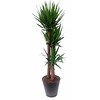 Yucca Elephantipes xl met Artstone pot Antraciet