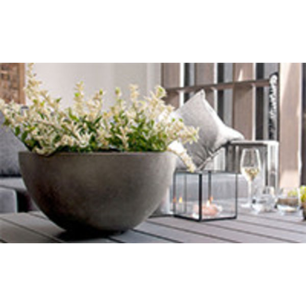 Egg pot L Concrete Ø 50