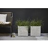 Nature Planter Square Rib Medium B30 x H30 cm