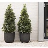 Nature Row Bol XL Ø 54