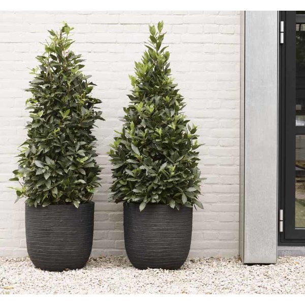 Capi Nature Row Egg Planter XL Ø 54