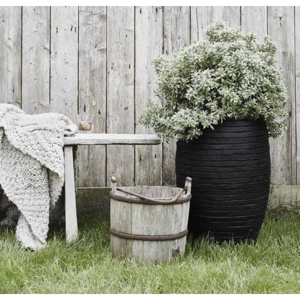 Capi Nature Row Vase Elegant Deluxe XL Ø 56