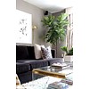 Ficus Lyrata op stam Large