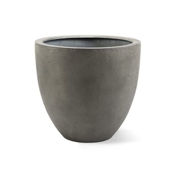 Ficus Lyrata vertakt in pot