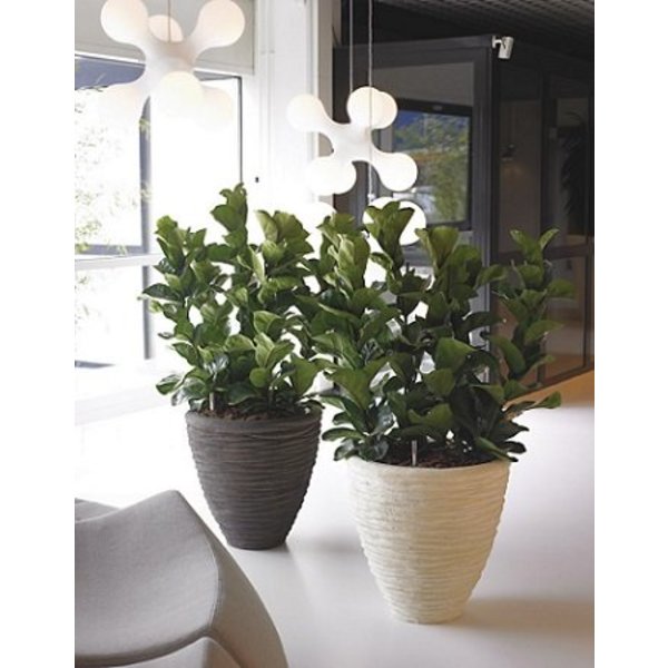 Baq Polystone Couple Seaside Ø 46 cm