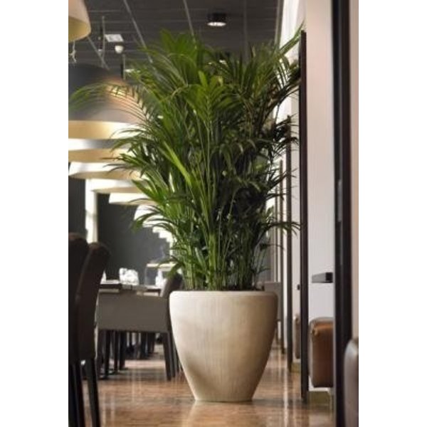 Baq Polystone Couple Ø 65 cm