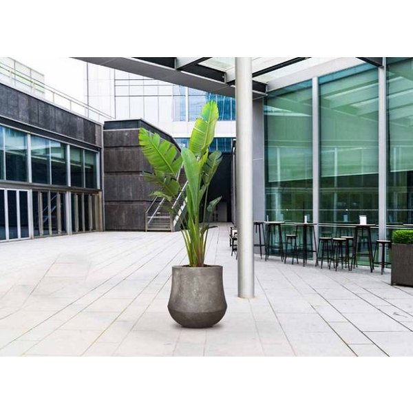 Baq Polystone Coated Darcy L
