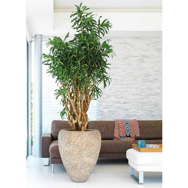 Baq Polystone Rock Couple Rough Ø 75 cm