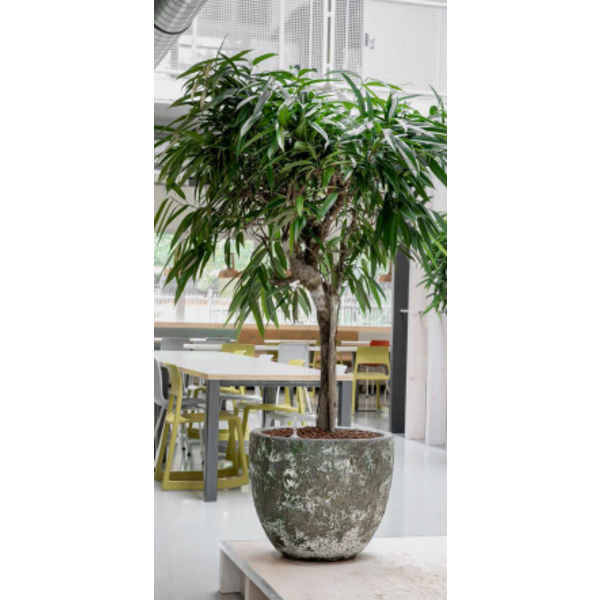 Baq Vulcana Couple Ø 45 cm - large