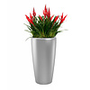Bromelia lechuza Rondo watergevende pot