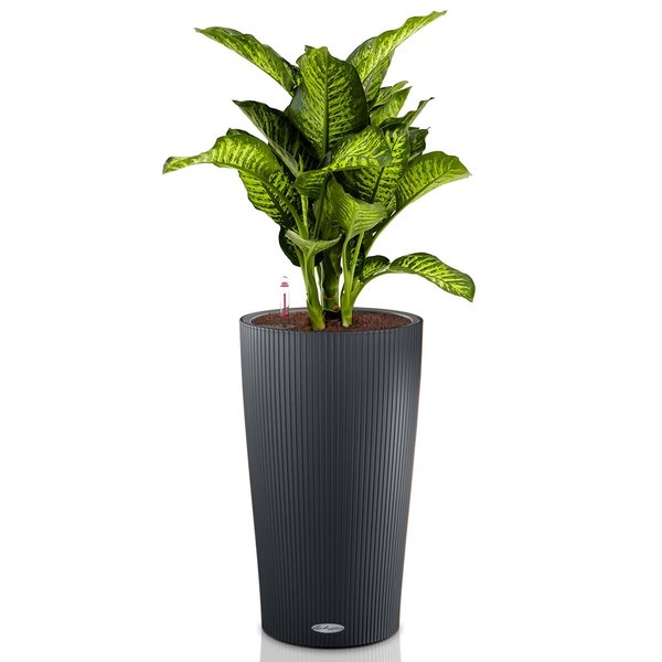 Lechuza Dieffenbachia watergevende pot cilindro