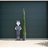 Cupressus sempr. 'Pyramidalis' Italiaanse Cipres