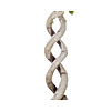 Ficus Exotica Twin Spiral large