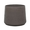 Rugged patt XL