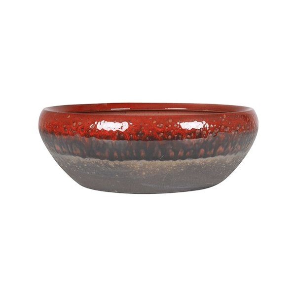 Amora Bowl L