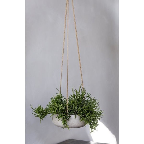 Rugged Eileen S Hanging