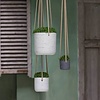 Rugged Charlie XXS Hanging