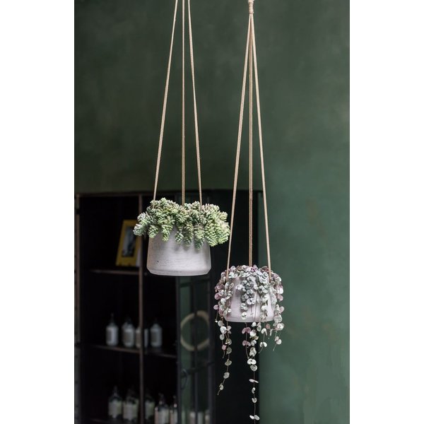 Rugged Patt XL Hanging