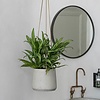 Rugged Patt XL Hanging
