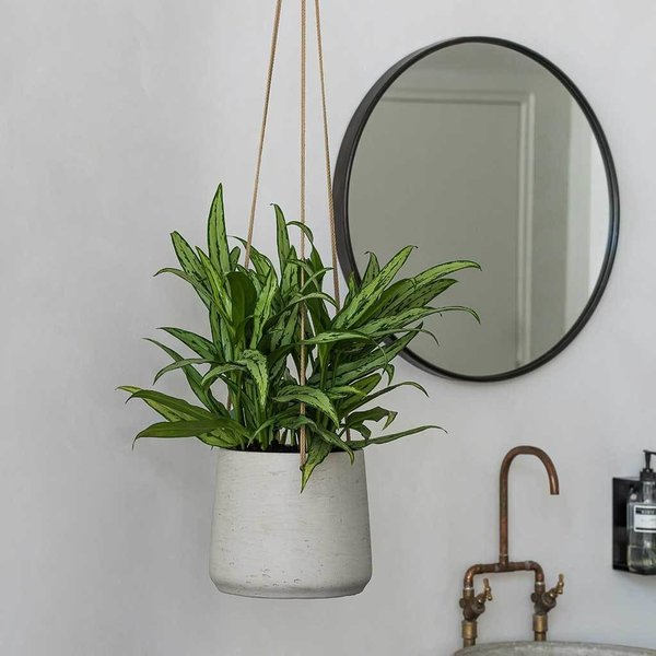 Rugged Patt XL Hanging