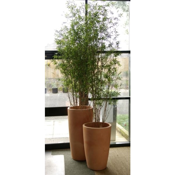 Bamboe Oriental - kunstplant