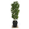 Dracaena Reflexa - kunstplant