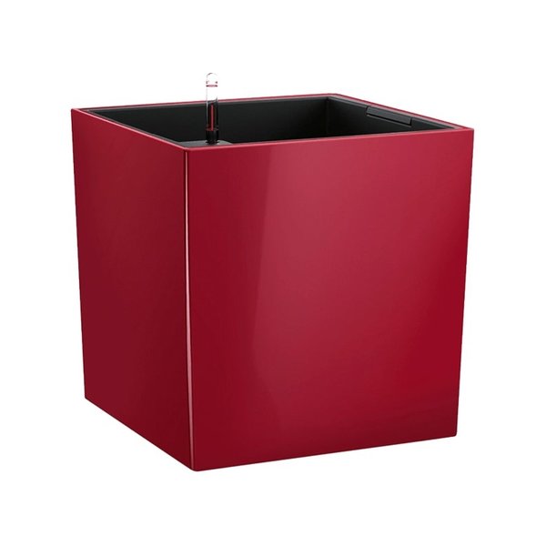 Lechuza Cube All in one Set