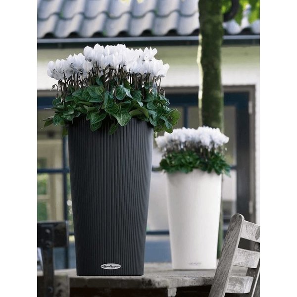 Lechuza Cillindro Medium Ø 32