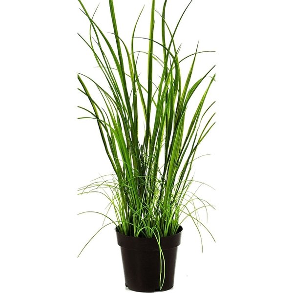 Wild Grass - kunstplant