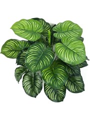 Alle kunstplanten